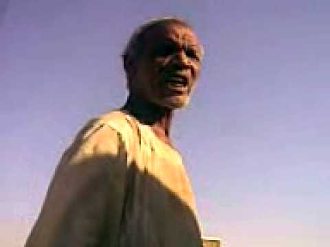 شيبة سوداني معصب ههههههههههه