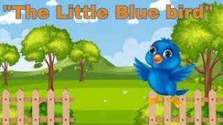 The Tale of Bella the Blue Bird Stories | I Raised a BLUE BIRD Named Bella and Here's What Happened