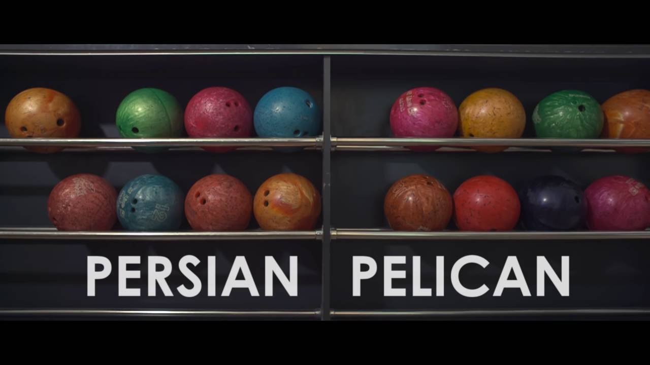 Persian Pelican - Pastoral