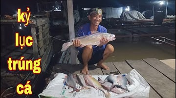 Hai Anh Em Vỡ Òa Cảm Xúc Khi Thăm Lưới Dính Nhiều Loại Cá Ở Sông Tiền # SĂN BẮT ĐỒNG THÁP #