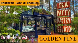 Golden Pine Orchid Forest Cafe Aesthetic Bandung Daya Channel