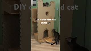 DIY cardboard cat castle 🏰😺😺 #diychallenge #diy #mrcarrington #cat