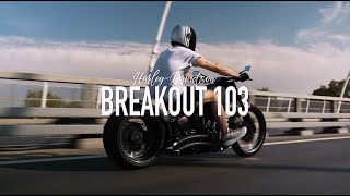 HARLEY-DAVIDSON BREAKOUT 103'. НОВЫЙ ALIENSE.