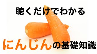 【家庭菜園】聴くだけでわかるニンジンの基礎知識