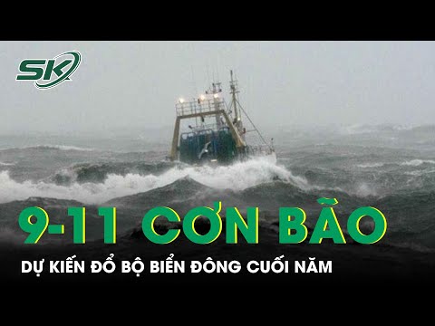 Video Chuyên Gia Dự Báo Có 9-11 Cơn Bão Đổ Bộ Biển Đông Từ... - youtube