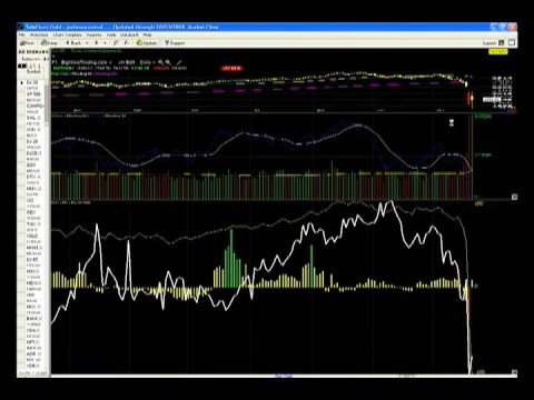 Joshua Hayes - bigWaveTrading.c...  - Wrap up for ...