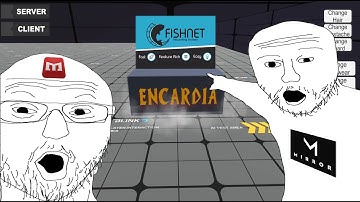 Why I choose Fish Networking for my Unity MMO