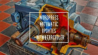 EP311 - WordPress Automatic Updates - Plugins, Themes, and PHP versions! - WPwatercooler