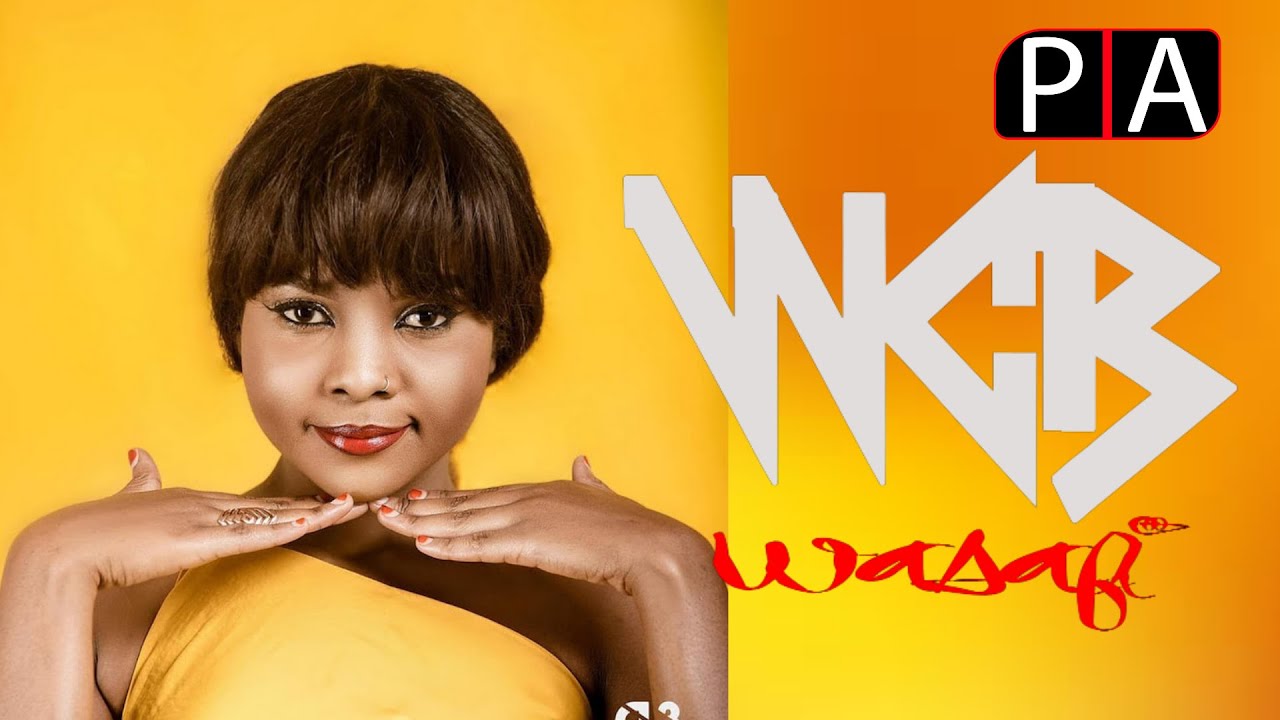 DIAMOND: HUYU NDIYE MSANII MPYA WA WASAFI /ZUCHU / TANASHA KUTAKA KUTOA ...