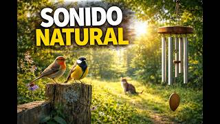 Sonidos del campo con pájaros, viento y campanas | ambiente natural real (2 horas)