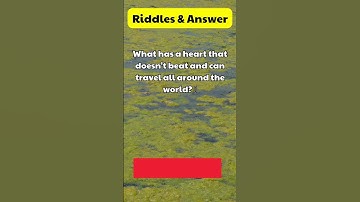 Funny Riddles That Will Make You Laugh Out Loud! #YouTubeShorts #puzzles #Riddles #fun #viral