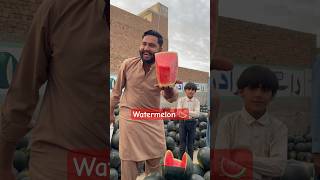 Special watermelon #shortsvideo #fruitbazar #punjab #watermelon #funny #farming #viral