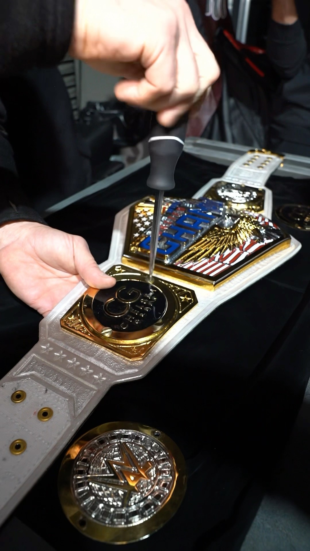 Chelsea Green gets her new sideplates