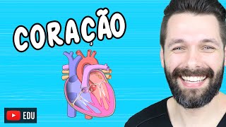 ANATOMIA DO CORAÇÃO - Fisiologia Cardíaca | Biologia com Samuel Cunha