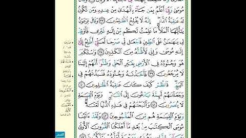الصفحة (390) من المصحف الشريف ( سورة القصص - مشروع حفظ القرآن الكريم )
