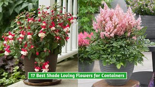 17 Best Shade Loving Flowers for Containers