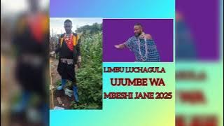 LIMBU LUCHAGULA UJUMBE WA MBESHI JANE 2025