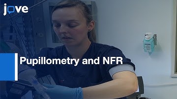 Pupillometry and NFR for Objective Nociceptive Assessment | Protocol Preview
