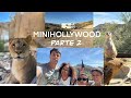 ‼️ PROBLEMA CON LAS ENTRADAS‼️Zoo de  Minihollywood.
