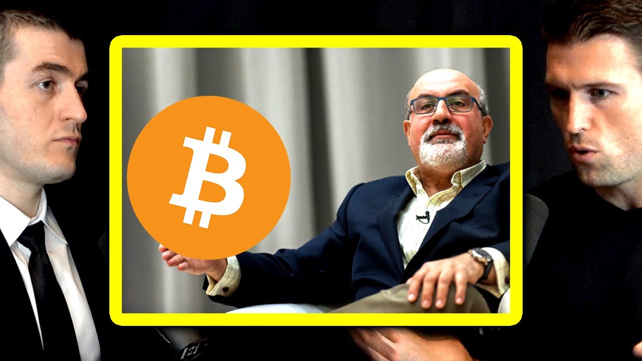 Nassim Nicholas Taleb on Bitcoin | Robert Breedlove and Lex Fridman