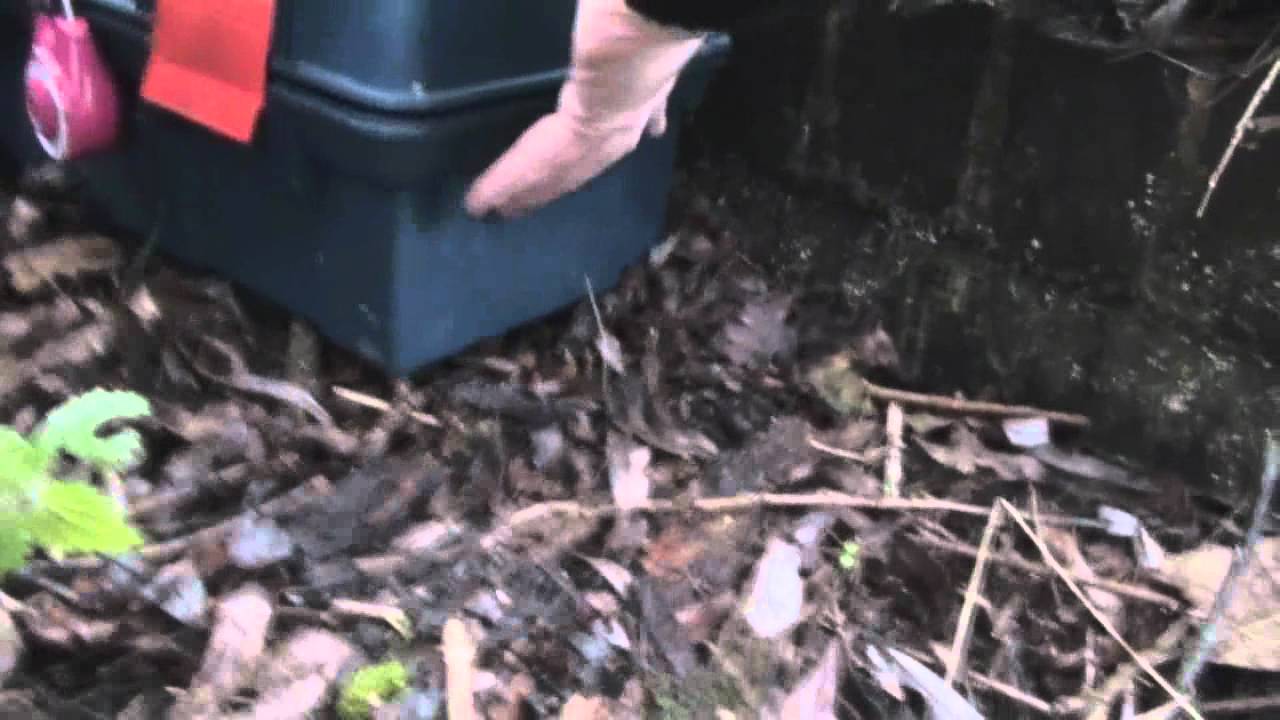 Amazing joystick padlock, The city map geocache