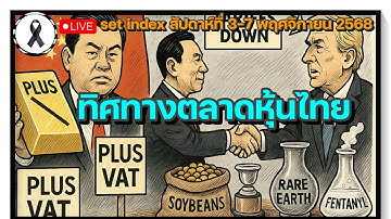 set index สัปดาห์ที่ 3-7 พย. ✅Update ทิศทางตลาดหุ้นไทย