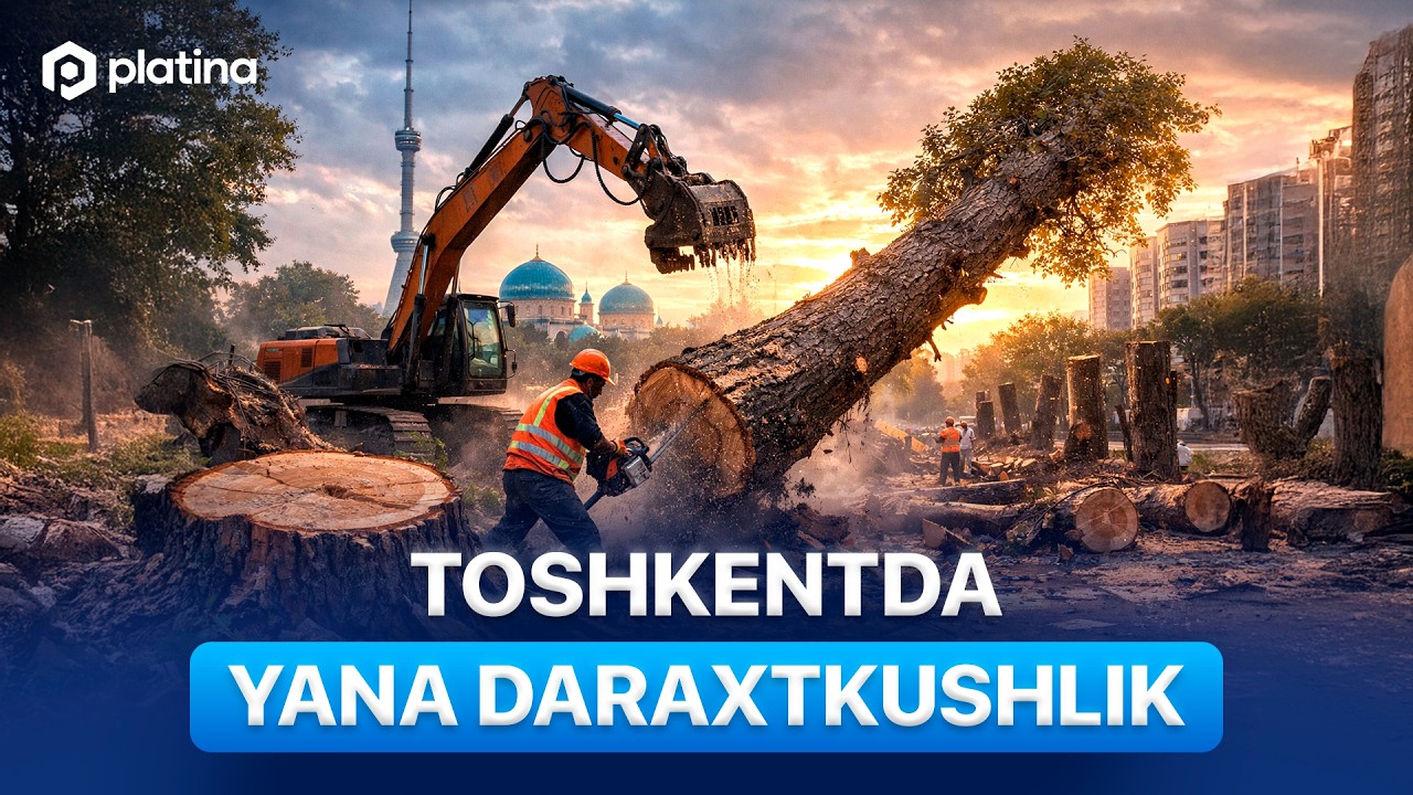 Toshkentda yana daraxtkushlik. Mas'ullar nima deydi?