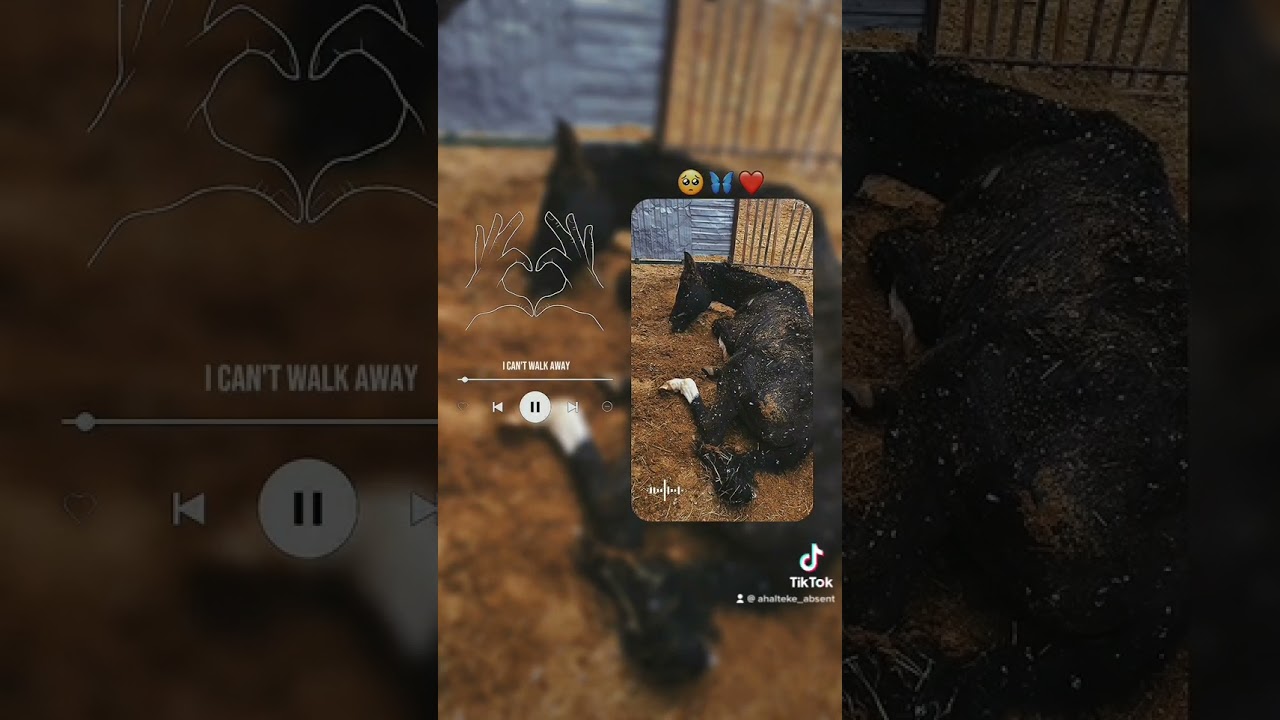 Тяжело болен 