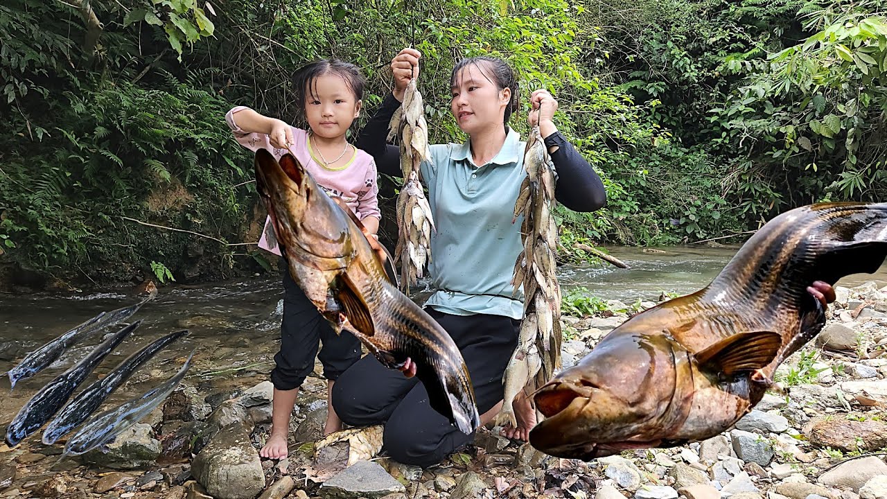 Catch fish and Harvesting bamboo shoots to sell at the market with my daughter | Tiểu Mai Daily Life