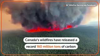 Canadian wildfire emissions hit record high