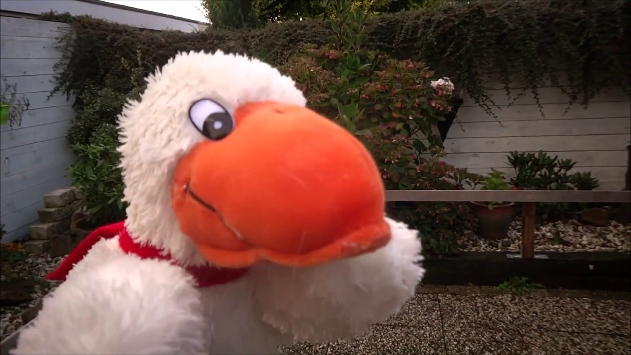 knuffels en hun verlichting