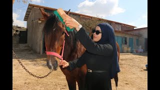 At Merakı Çiftlik Sahibi Yaptı