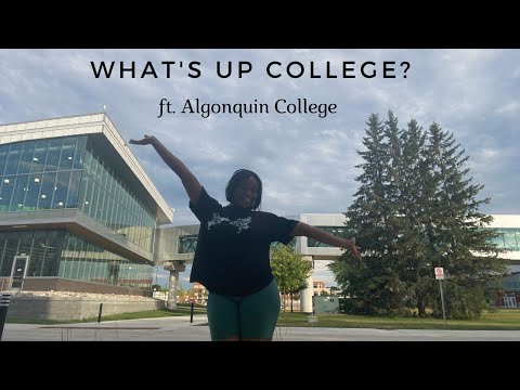 What's up with college anyways? ft. Algonquin College