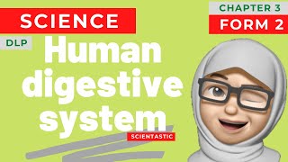 SCIENCE | KSSM | DLP | FORM 2 | CHAPTER 3 NUTRITION | HUMAN DIGESTIVE SYSTEM