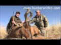 Aru Game Lodges Safari - Hunters Video