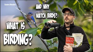 What is Birding and Why Watch Birds?
