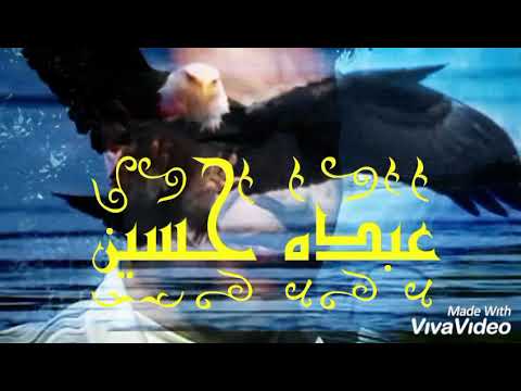 عمرو دياب كان حلم عمرى ف حبها أبوعمرو 