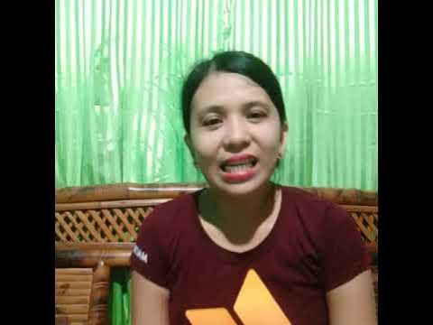 ladies slipper boots