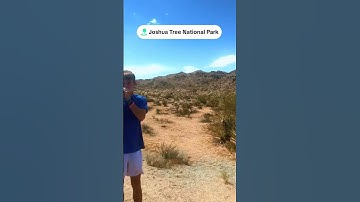 I just realized I had this video😂😂😂. #funnybrother #shorts #joshuatreenationalpark