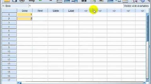 Creacion de una matriz de datos en SPSS