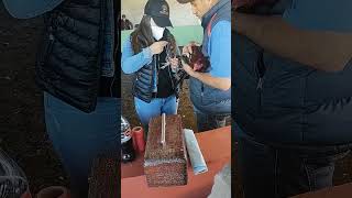 chica amarra gallos de peleas...