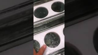 Testando Meu Sump testing My Sump
