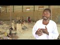 Sudan export at risk: Conflict has disrupted production of Gum Arabic