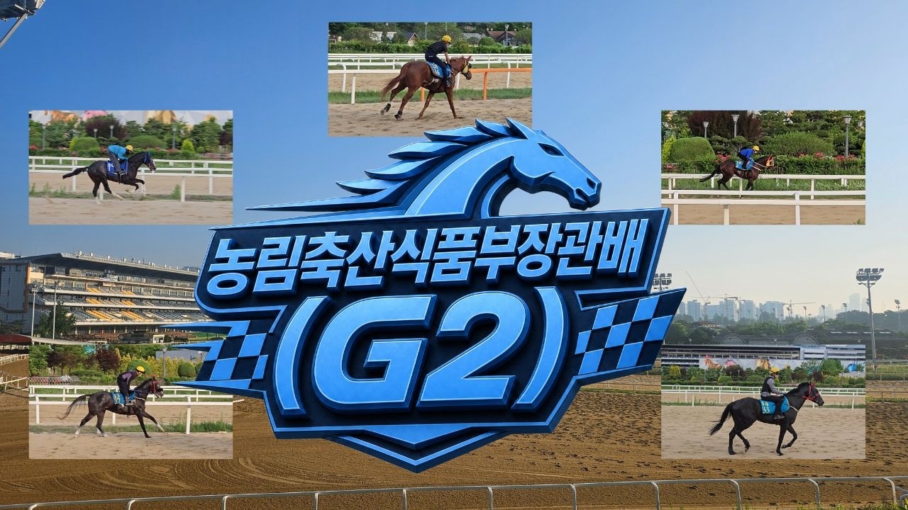 [2026년 제26회 농림축산식품부장관배(G2)조교현장/유재필의 미.보.경] 미리 보는 경마~!