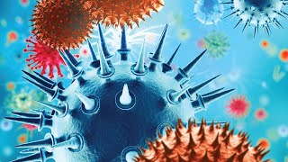 ICPIC 2019 : What is minimum and most cost-effective for infection prevention and control in setting
