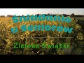 Śniadanie u Seniorów: Zielone Świątki
