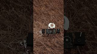 Sounds Of Africa Episode 07 africanhouse  originalmix afrohouse electronic