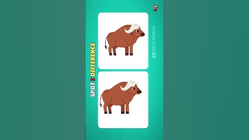 Spot The Difference : Only Genius Can Find The Differences