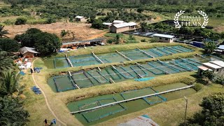 De Heus Empowering Farmers Towards Sustainable Aquaculture Through High-Quality Nutrition