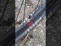 Puncture Gravel bicycle tire Pirelli Cinturato Gravel M